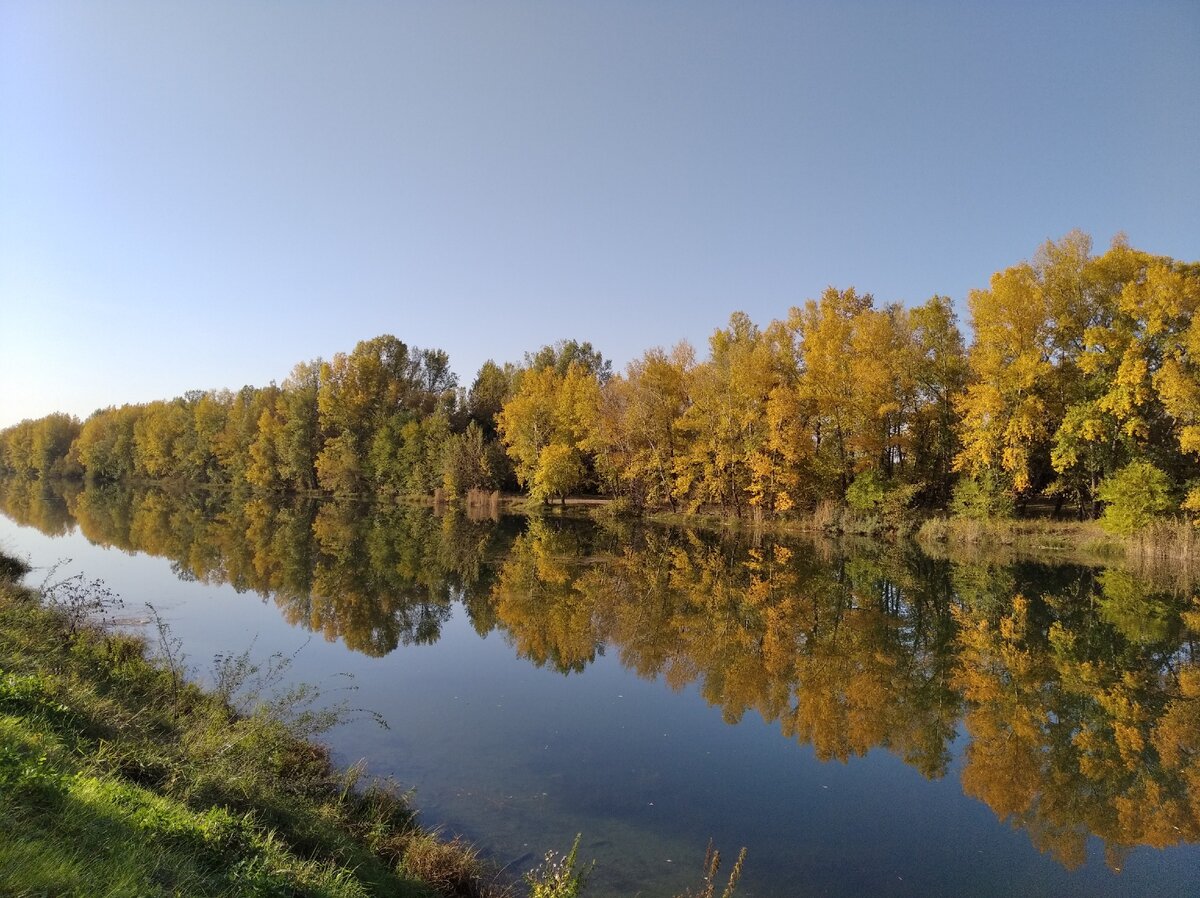 Золотая осень. Северный дренажный канал в Абакане