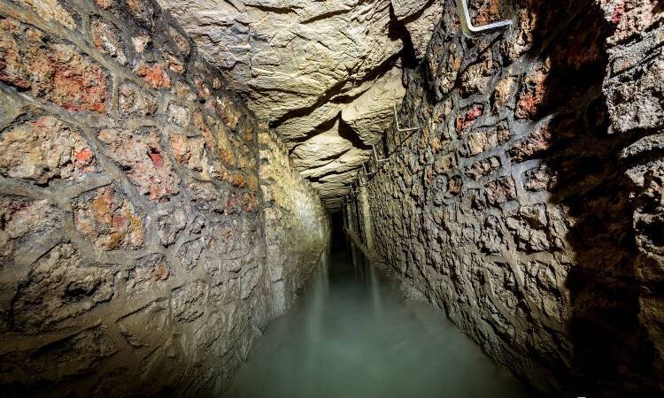 Яндекс Картинки