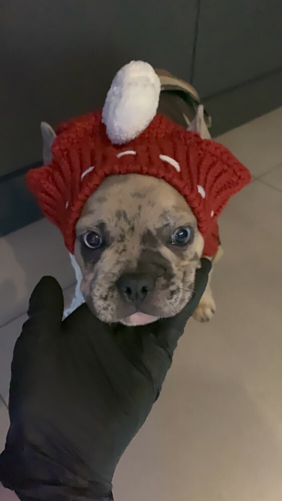 фото с https://aliexpress.ru/