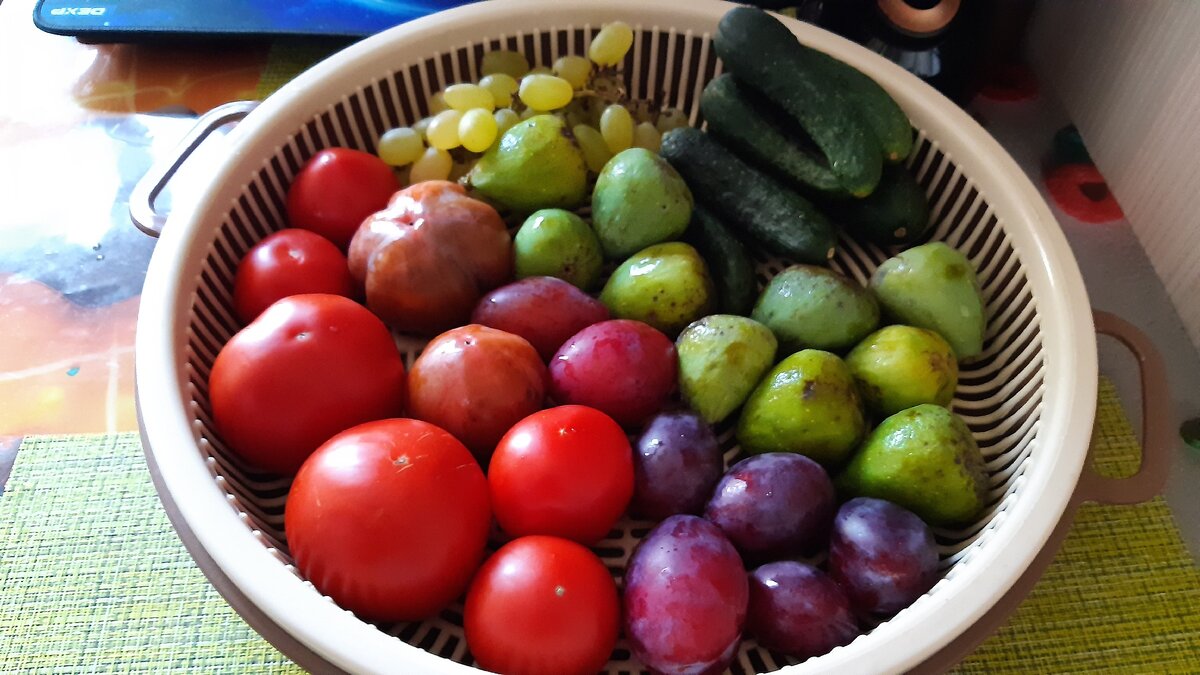 Дары осени на юге. Инжир, хурма сливы, виноград, помидоры, огурцы 