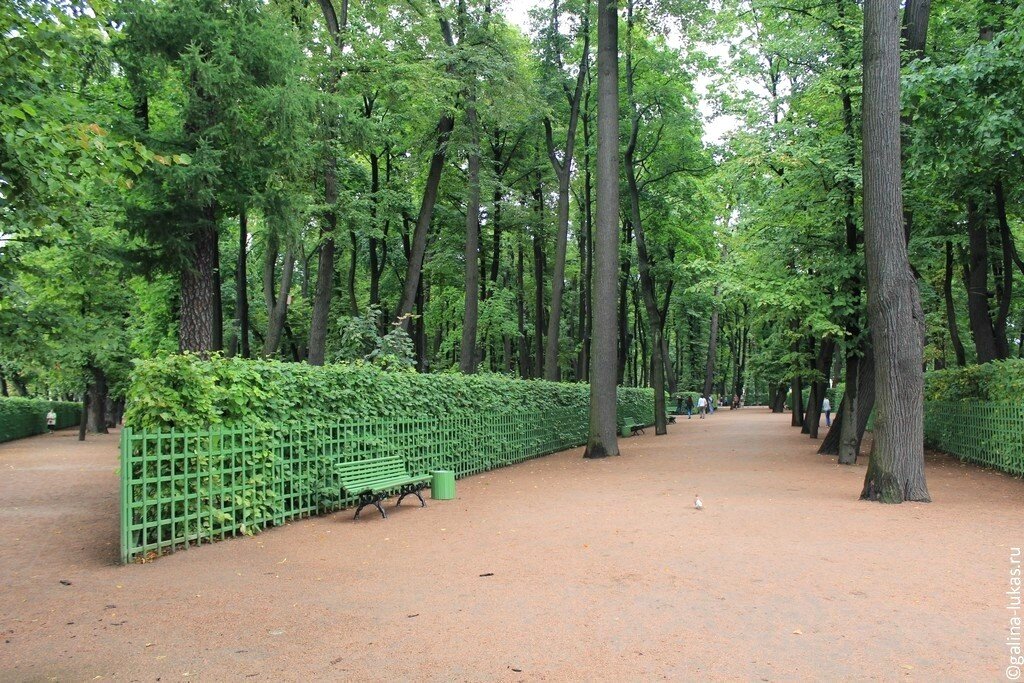 Летний сад в современном виде. Фото автора