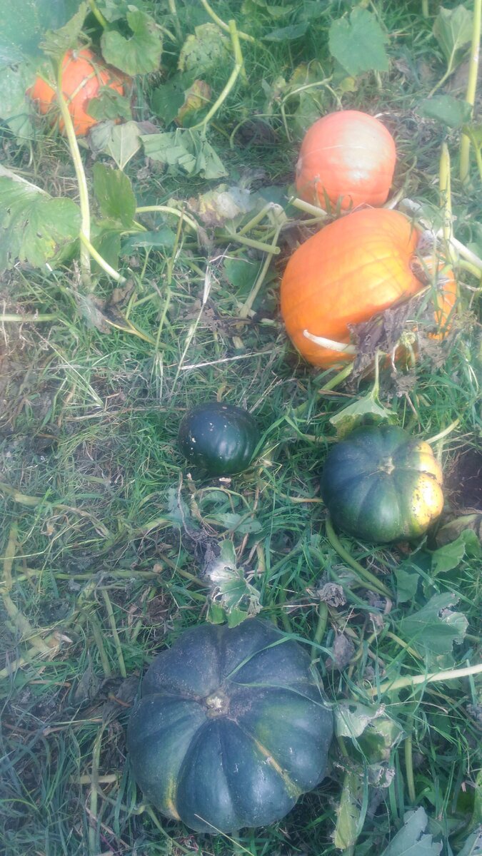 Личное фото автора.