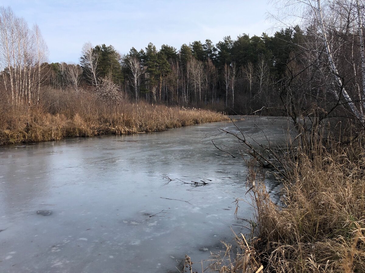 Ноябрь. Фото автора