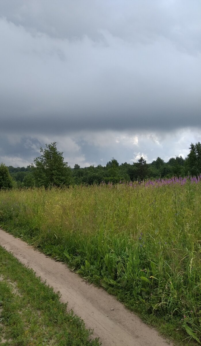 Природа.Деревенские места.