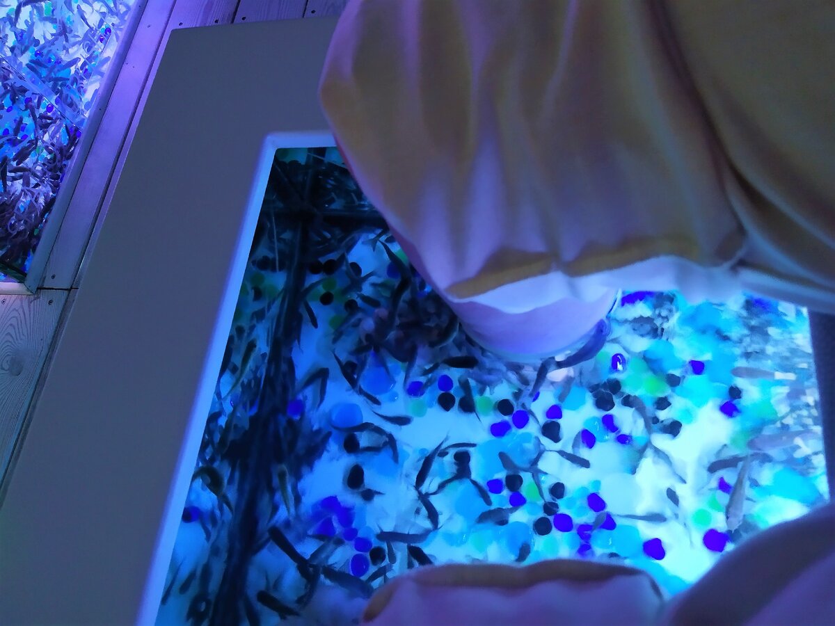 Я на процедуре