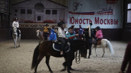 Самые популярные места для катания на лошадях в Подмосковье