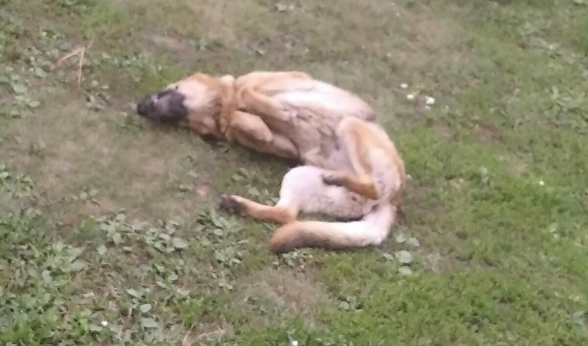 Ой, ржака, не могу...  :)))