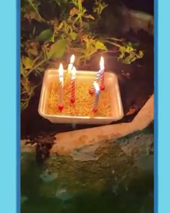 Извините за качество😟