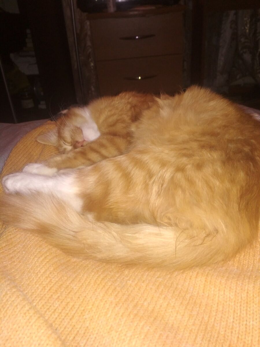 после пропажи