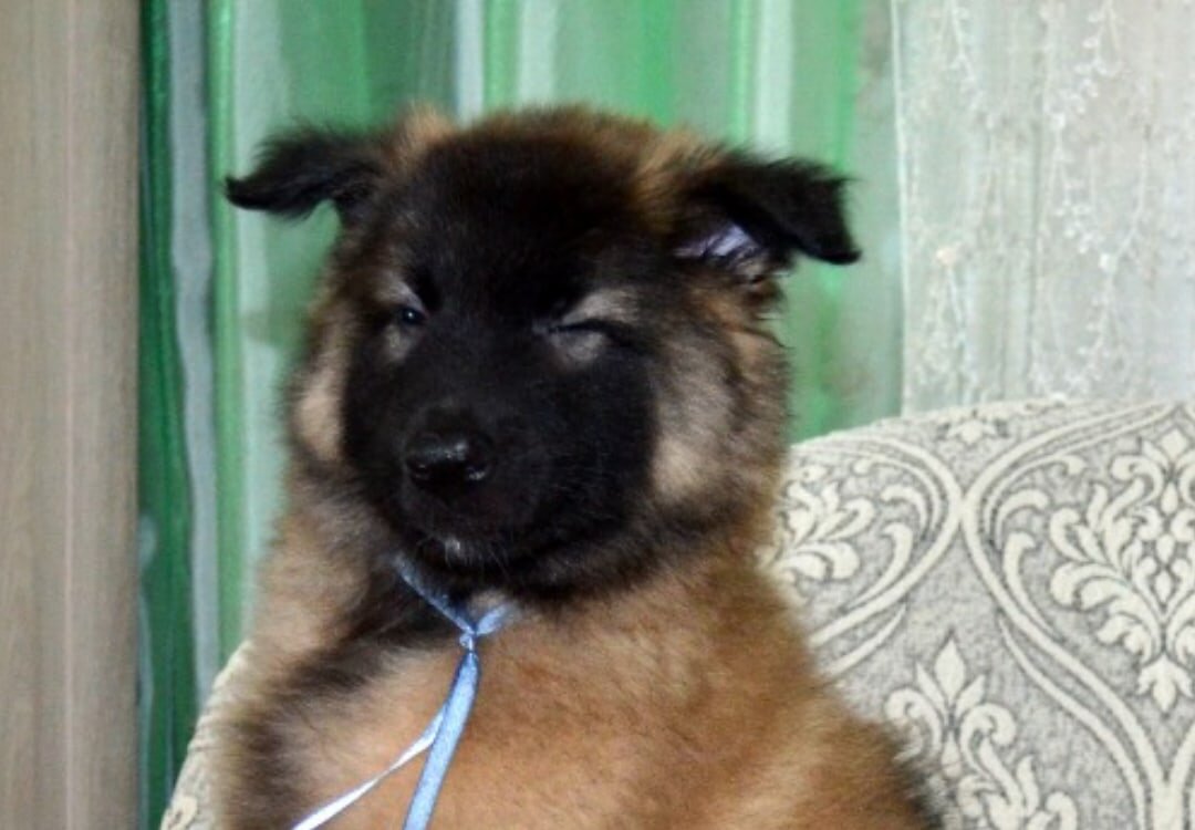 это мичиган и скоро он будет жить с Хьюстоном