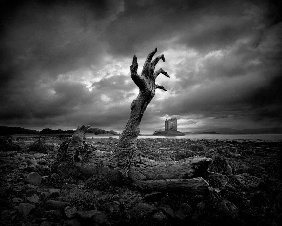 Фото из интернета