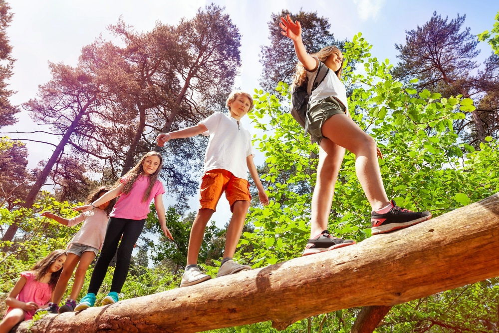 В летнем лагере 172 ребенка и 24. Лагерь луч конаково. Орлёнок детский лагерь. В летнем лагере 172 ребенка и 24. В летнем лагере 172 ребенка и 24.