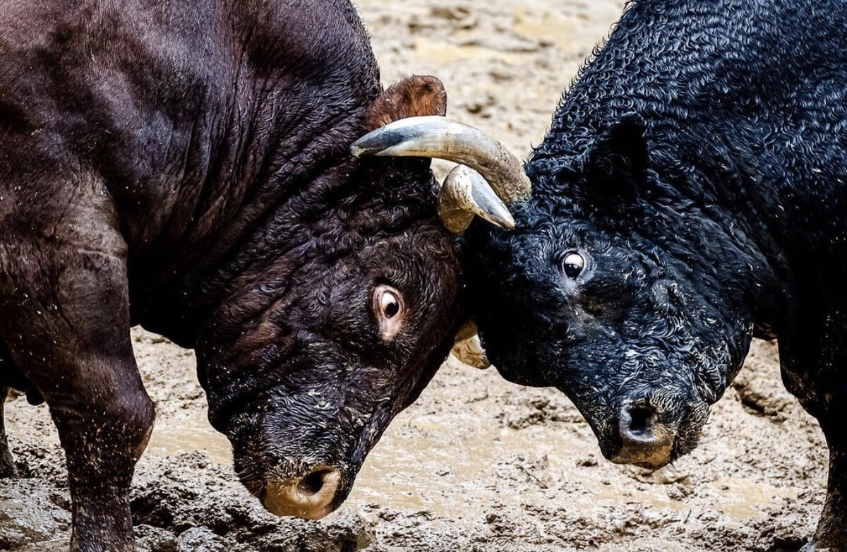 Префектура Ниигата, автор фотографии: masa08x