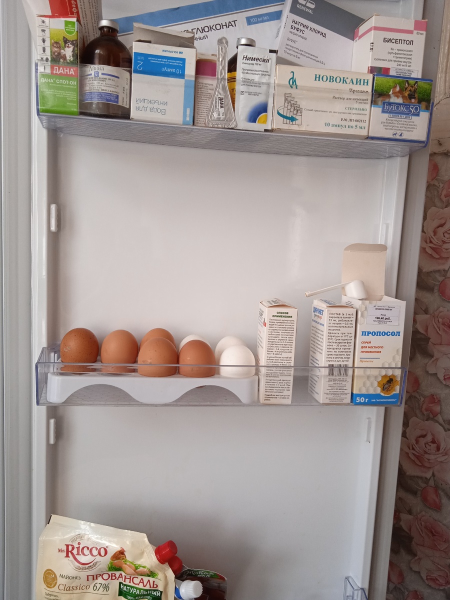 лекарства для собак. мой там только пропосол и нимесил пакетик на всякий случай.