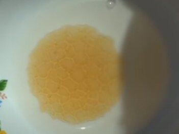 Ячейки Бернара. Сахар или мёд?