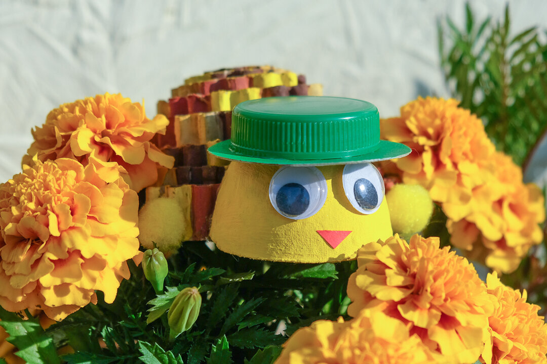 Поделки черепахи