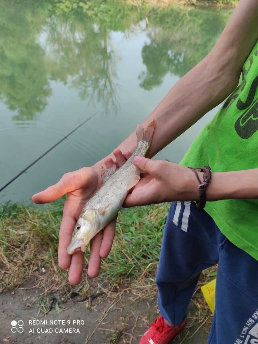 Рыбка - Усач