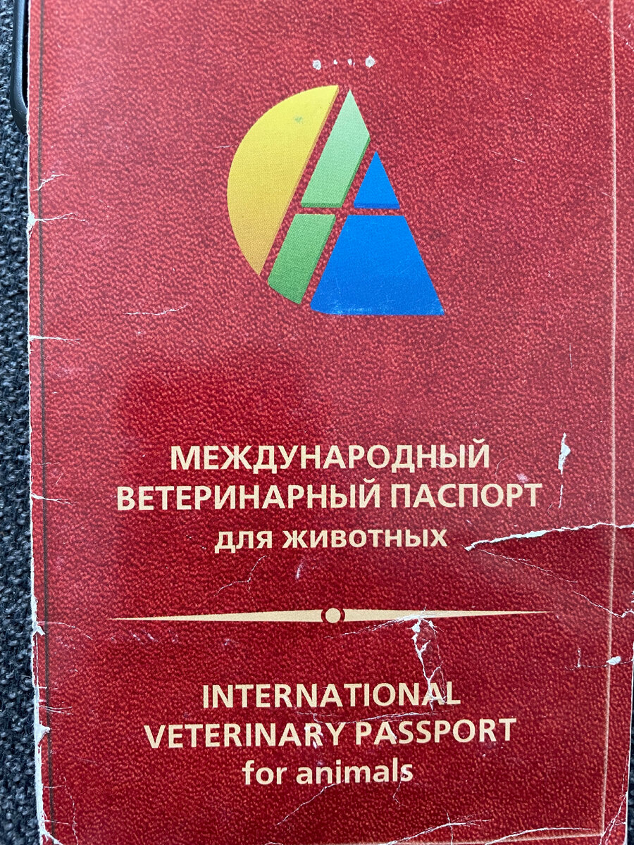 Международный паспорт