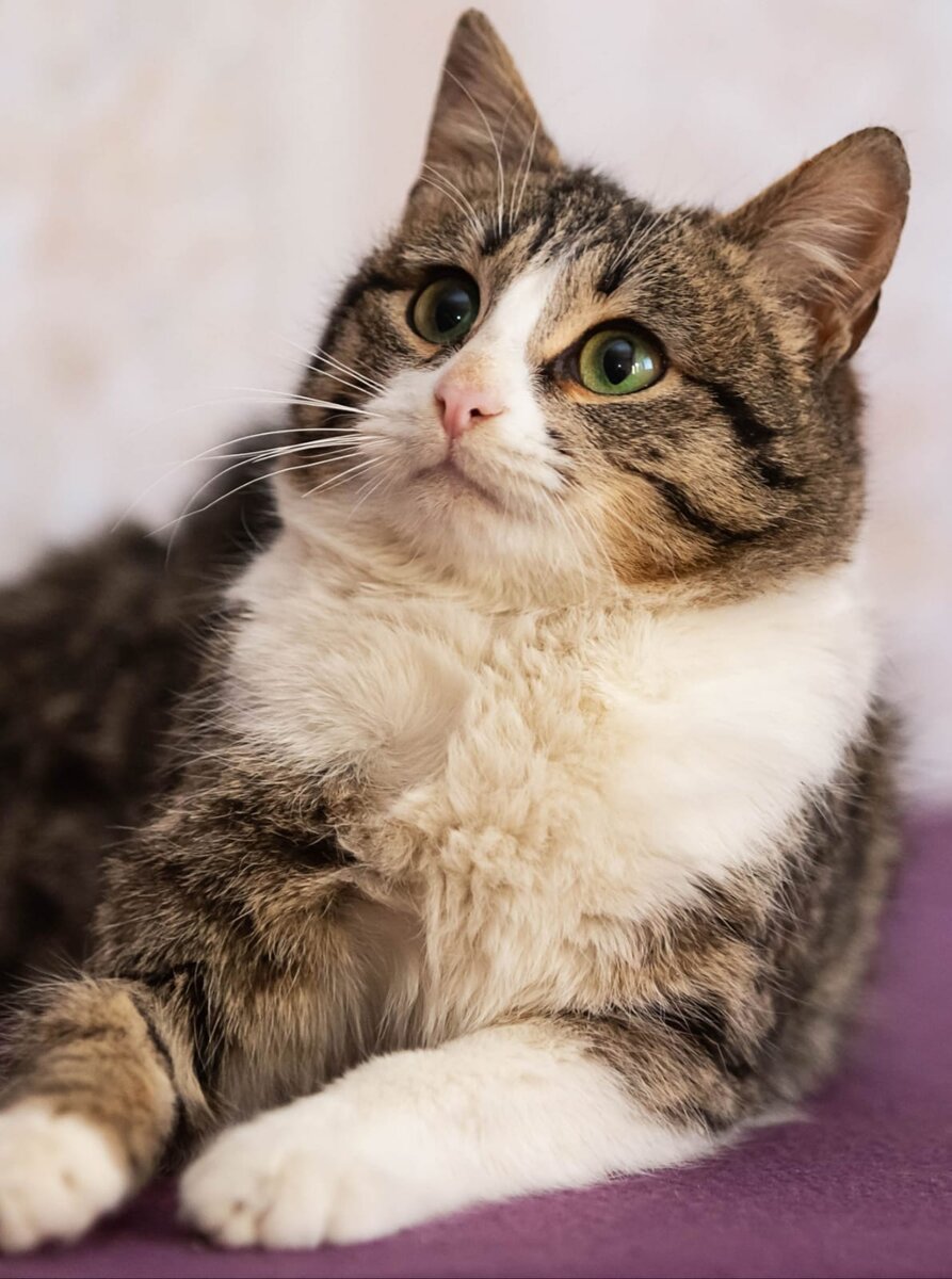 Житьё Касперка на передержечке 👍