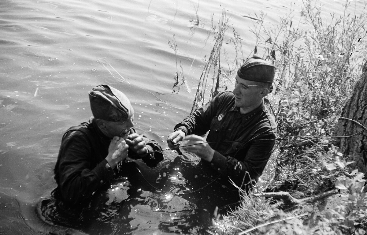 Дельфины на войне 1941 1945 фото