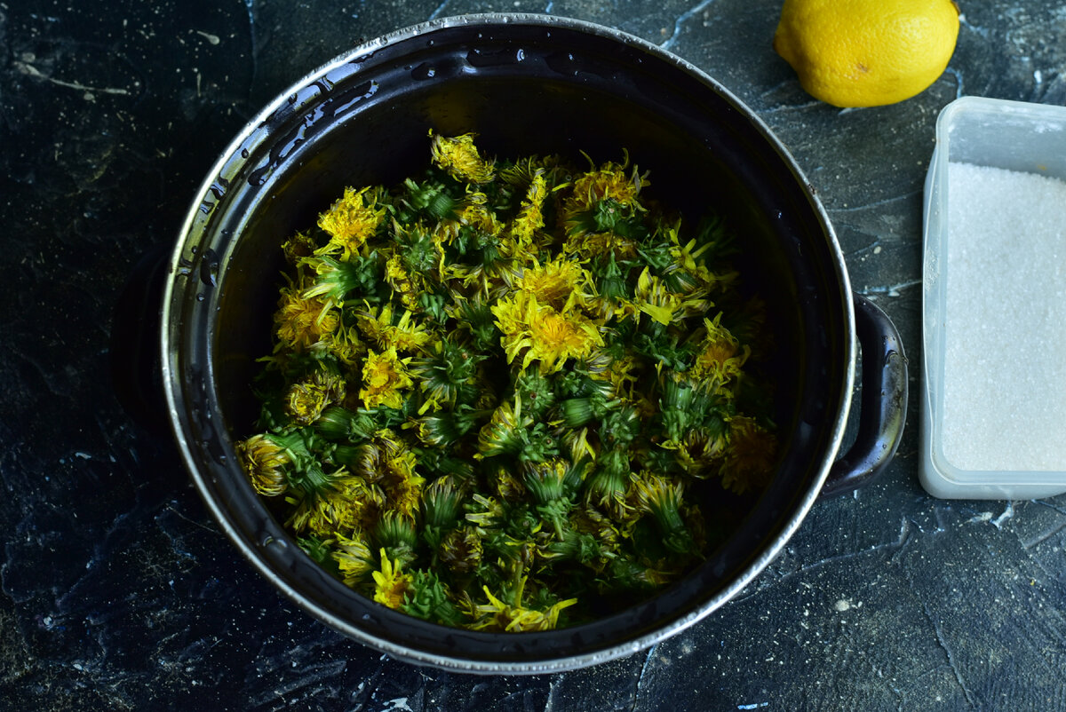 Цветы одуванчиков 