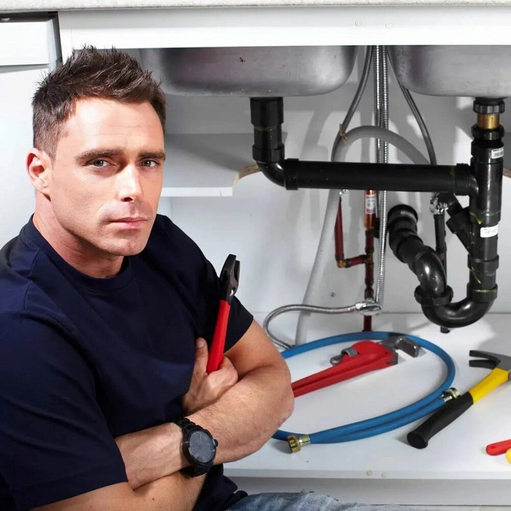 Учитесь, пока я добрый. Фото с сайта bestarticlessite.com