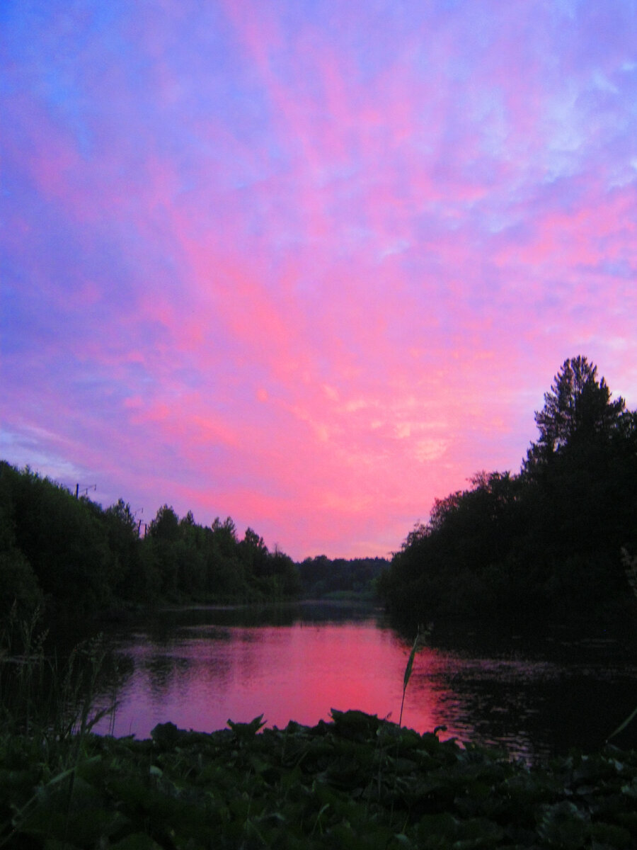 Фото автора.