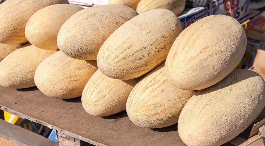 Бесплатная картинка из открытых источников.