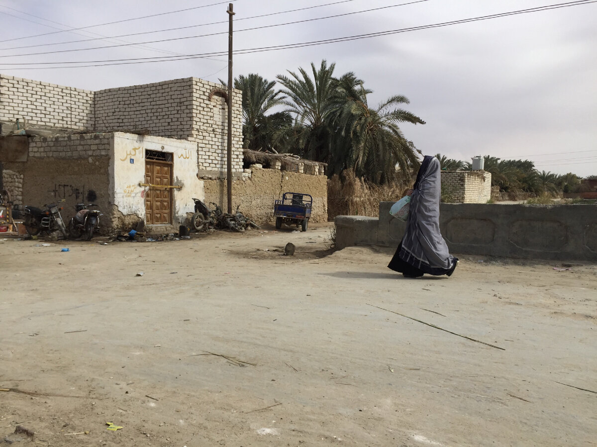 Египет! Пустынный Египет 