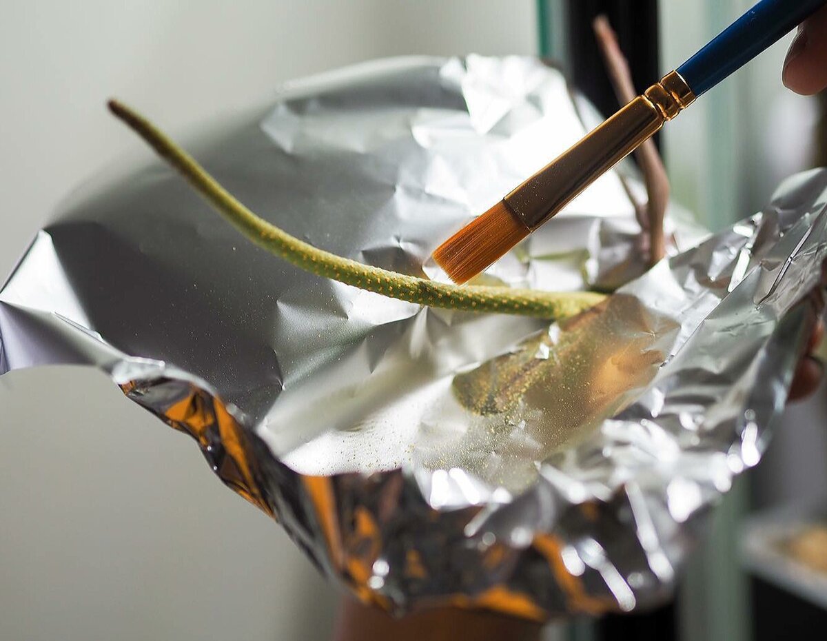 Процесс сбора созревшей пыльцы антуриума