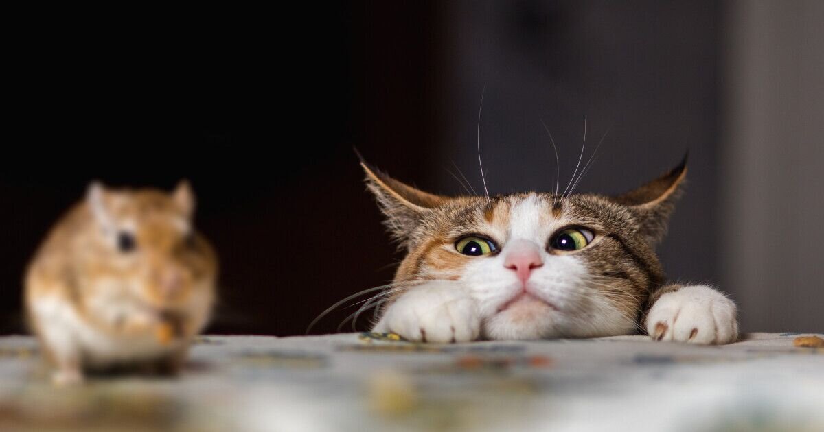 Личность 