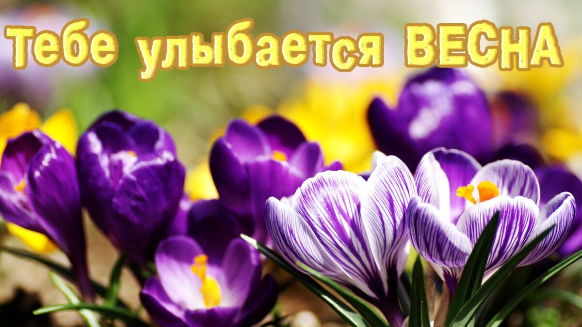 С первым днем весны цветы