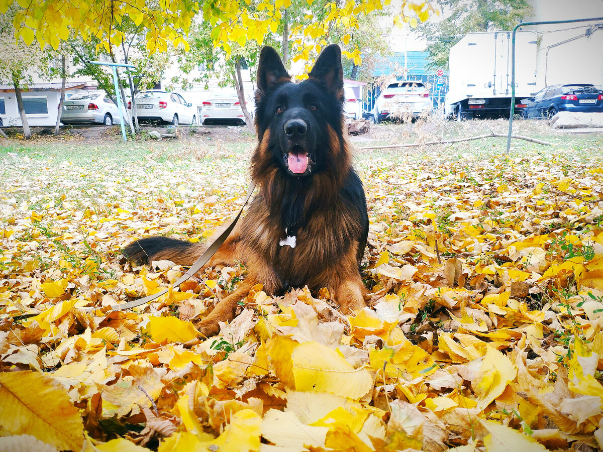 Дорога в офис