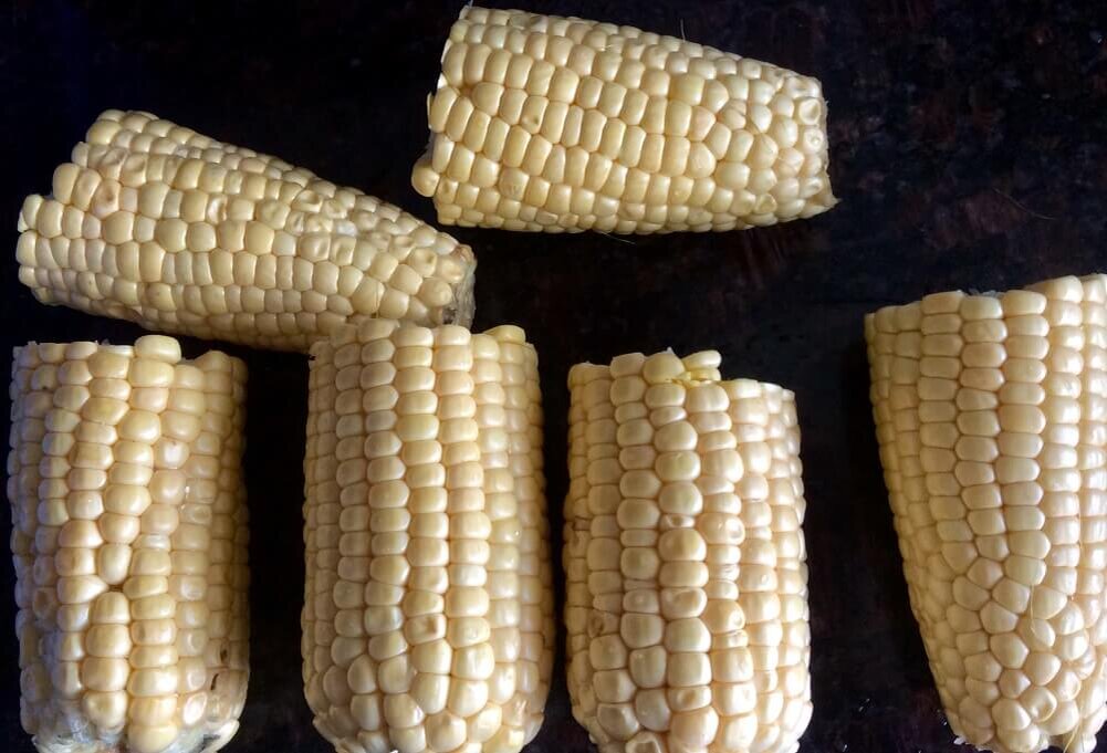 Разломать початки на пополам, потому что чаша мультиварки маленькая. Фото из архива автора