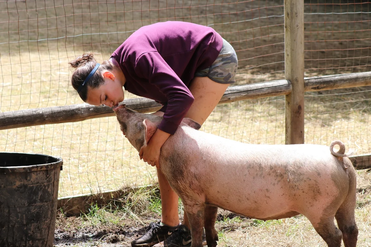 11 ноября 2014 г.