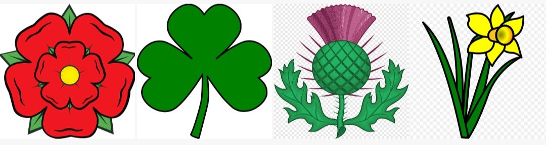 Растения-символы стран Великобритании. Авторское редактирование. 