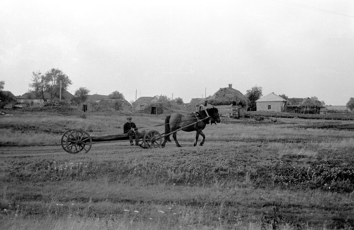 Это фотография Самодуровки (Новоникольского, Зорино) в 1966 году https://cloud.mail.ru/public/MDwd/N193Bv431