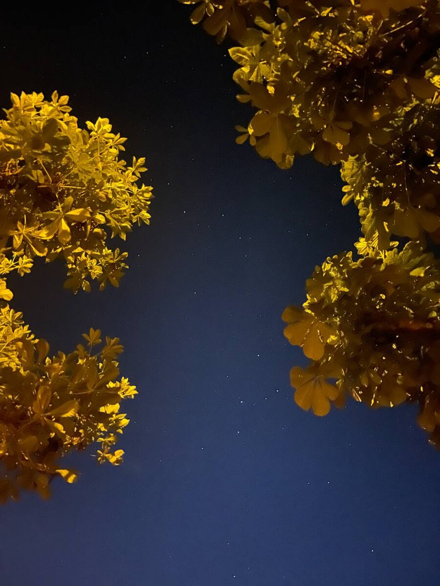 Звездное небо. Фото автора. Цюрих, 2022