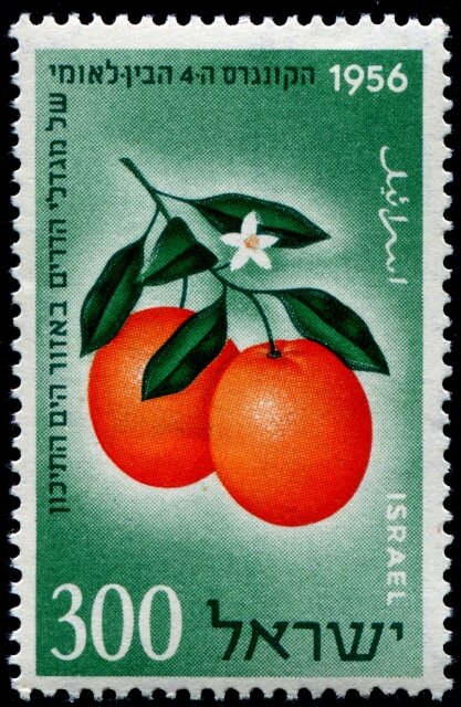 Почтовая марка с изображением Яффского апельсина 1956г Израиль | ист. фото Shutterstock