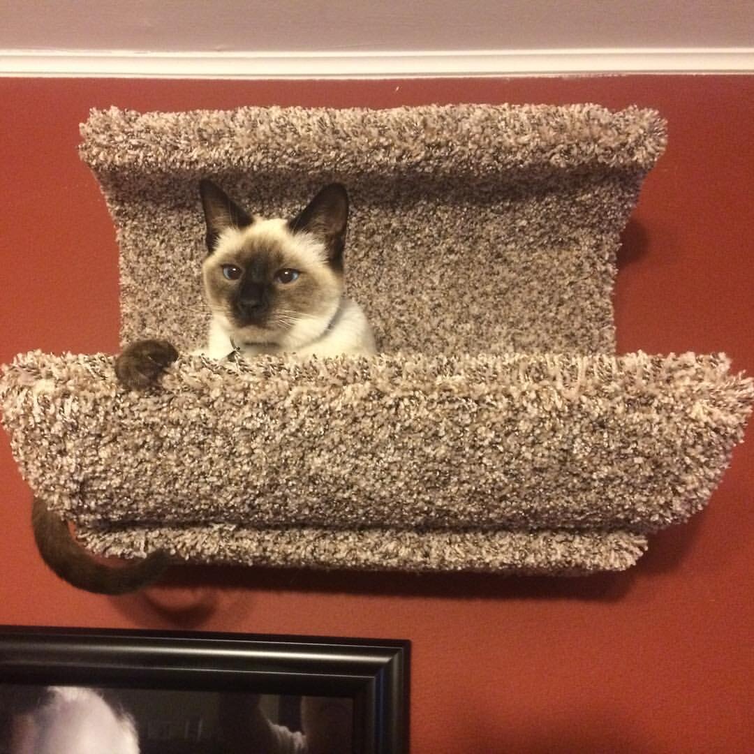 Фото из Интернета.