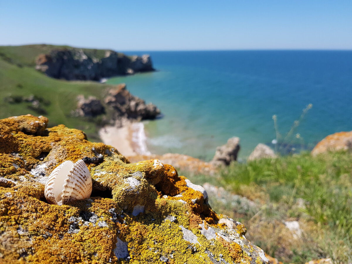 Фото в крыму на пляже