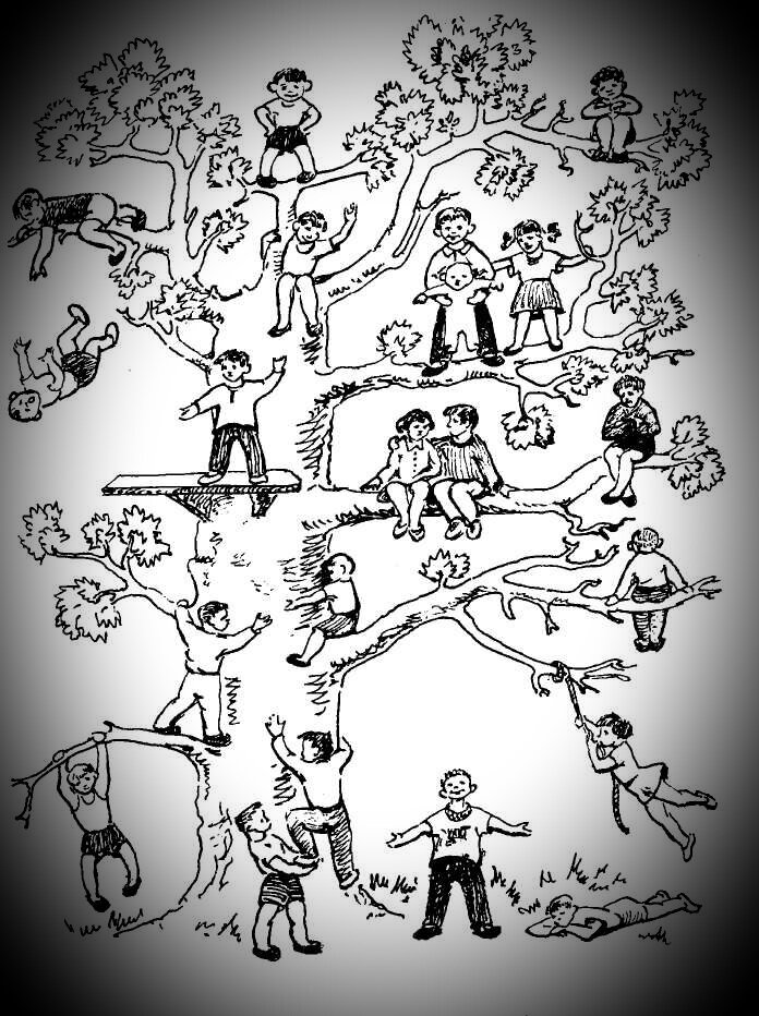 Фото из открытых источников