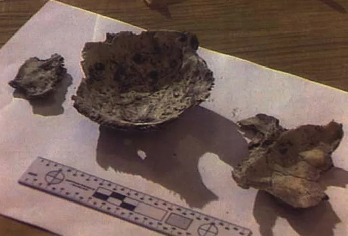 Фото взято из открытых источников