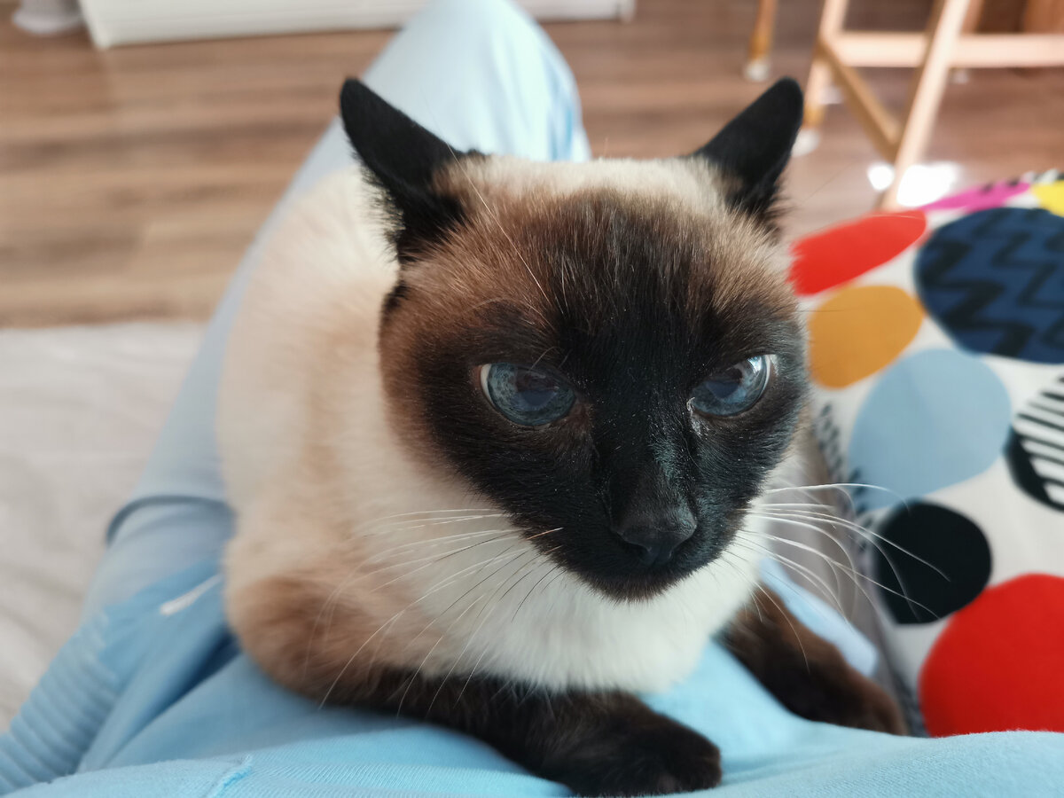 Лечит. Фото автора