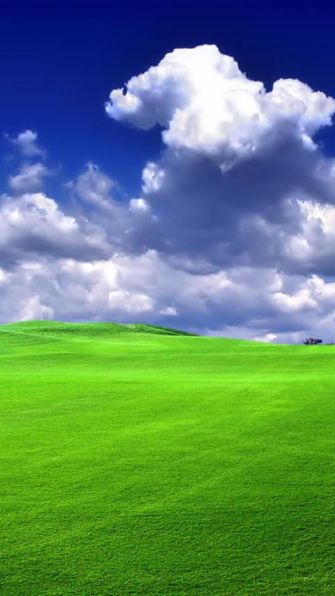 Одна из заставок для Windows XP. 