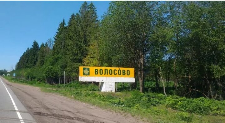 ворота в парк велес волосово. волосово селения. волосово ленинградская область. деревня волосово владимирская область. город волосово.