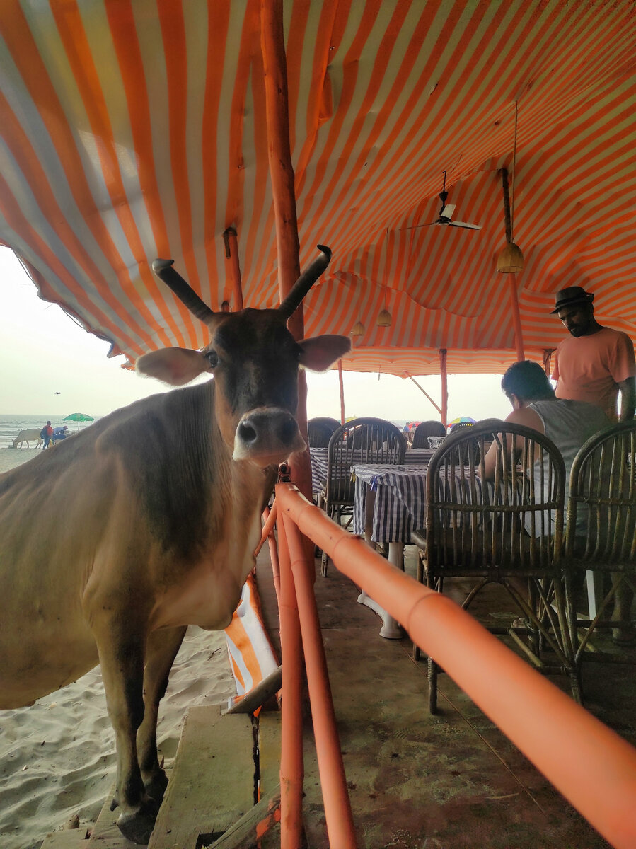 Добрый вечер