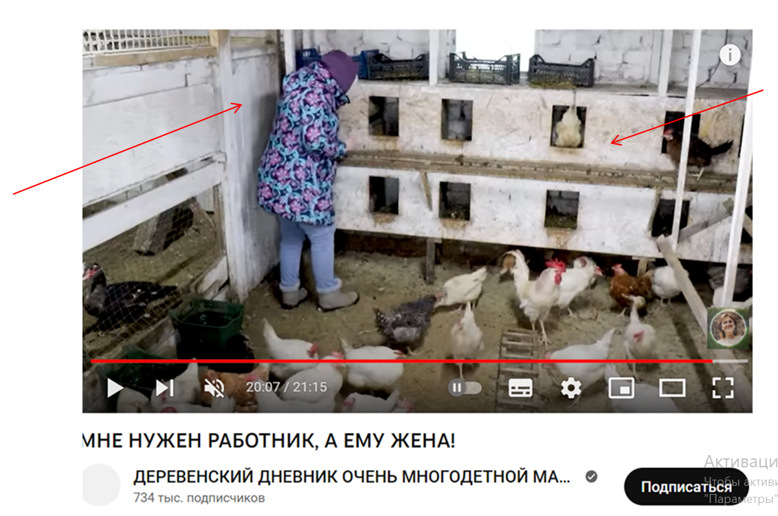 Фото взято из ролика Быковой О.А. на  платформе ЮТУБ. Ролик находится в свободном доступе 
