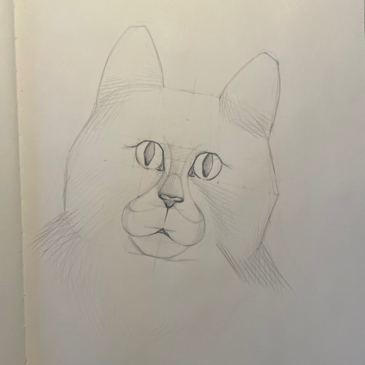 Рисуем набросок кота карандашом всего за 10 шагов. | Уголок творчества |  Дзен