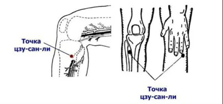 Точка бе. Точка долголетия от ста болезней Цзу-Сан-ли е 36. Точка Цзу-Сань-ли. Цзу-Сан-ли точка долголетия. Е 36 Цзу-Сань-ли.